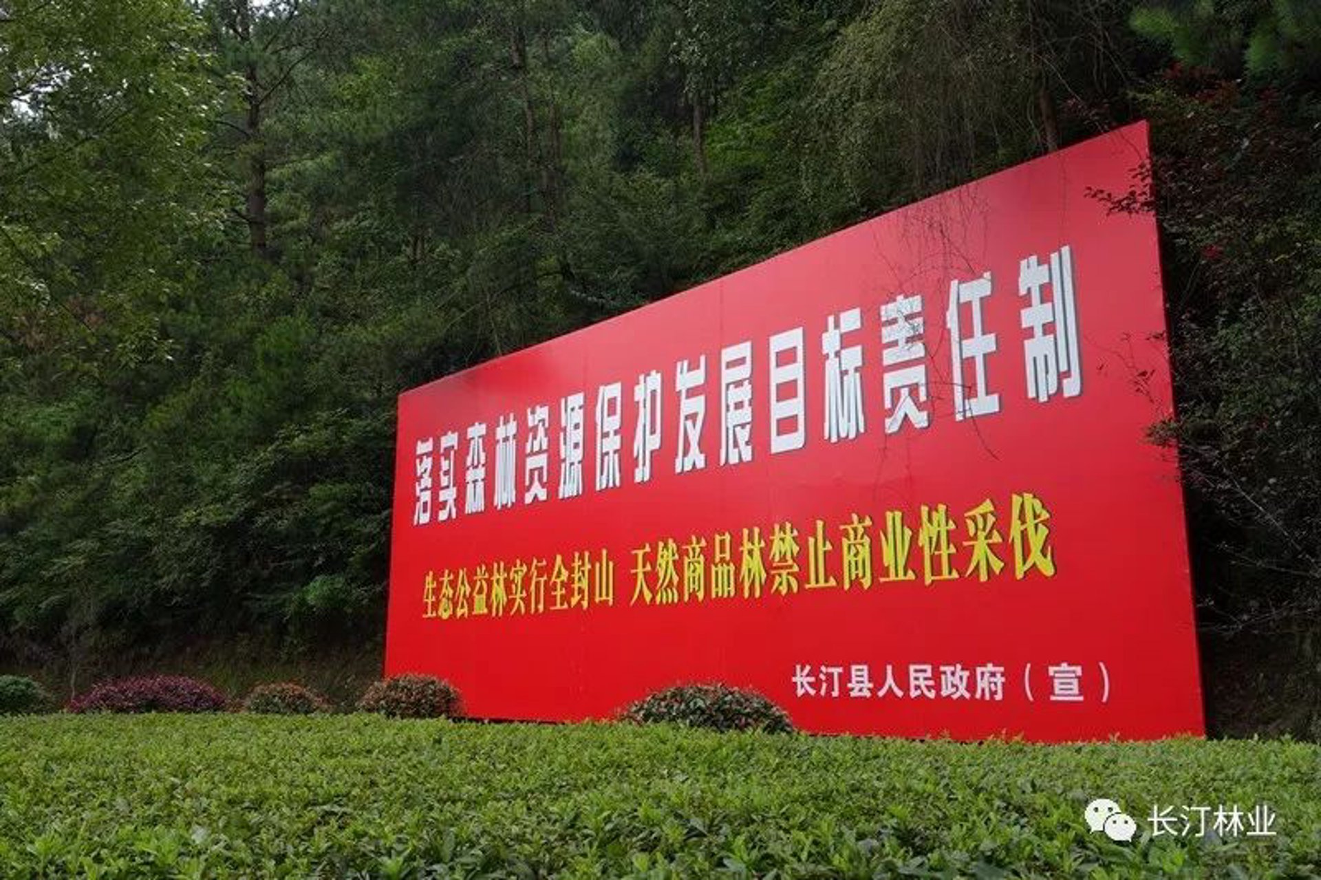 终北林业